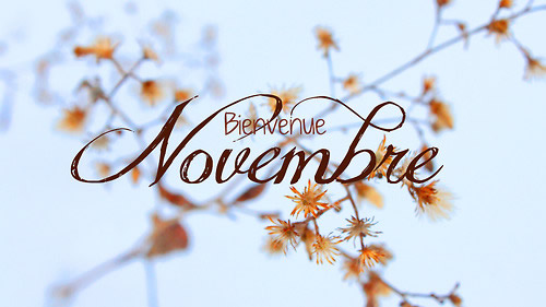 Novembre 2017 : 10 dates à noter pour passer un mois des plus animés